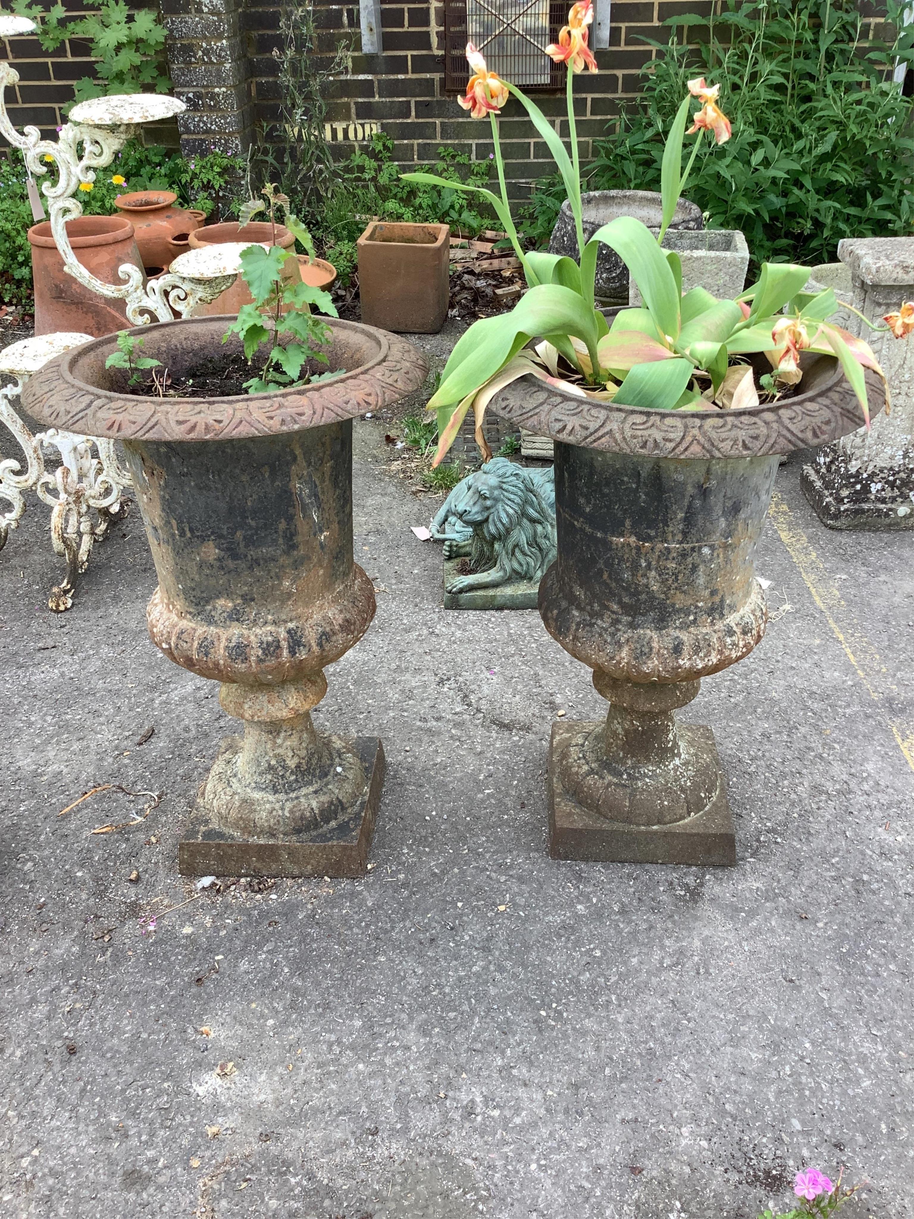 A pair of Victorian style cast iron campana garden urns, diameter 48cm, height 70cm